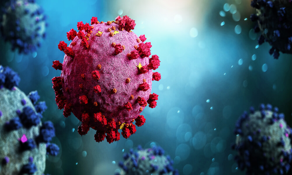 Un modelo del coronavirus hecho por una computadora. Se ve un cuerpo rosado con picos rojas