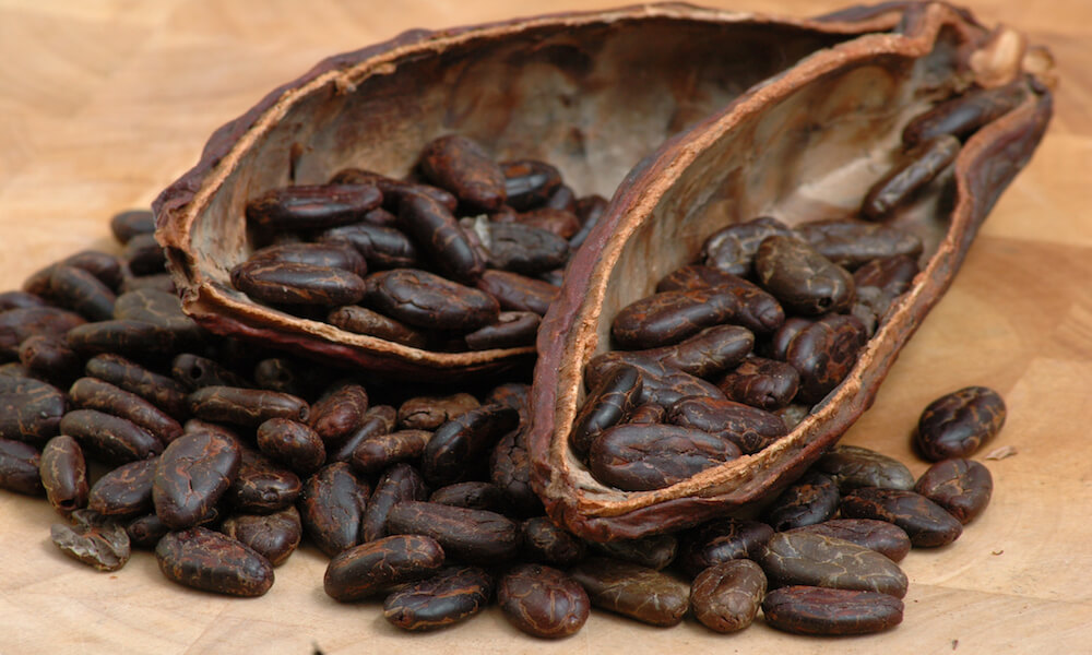 Granos de cacao asado