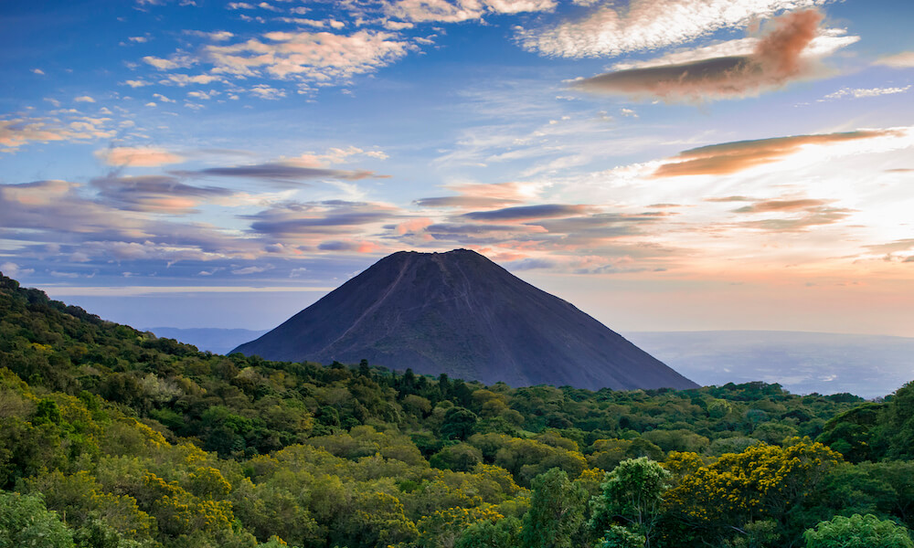 A volcano rises on the horizon and towers over a plain with trees and shrubs. Dawn lightens the sky and clouds gather in the background.