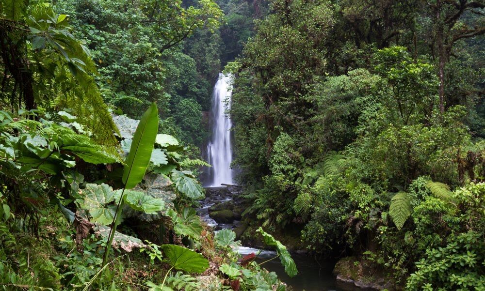 Beautiful waterfall in a tropical rain forest in central Costa Rica