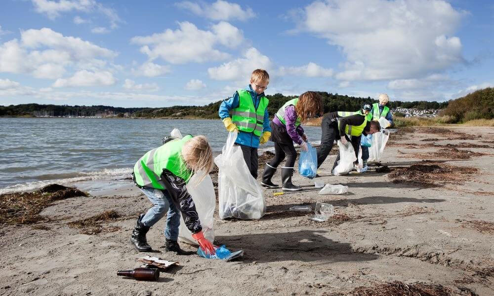 Group of workers cleaning beach