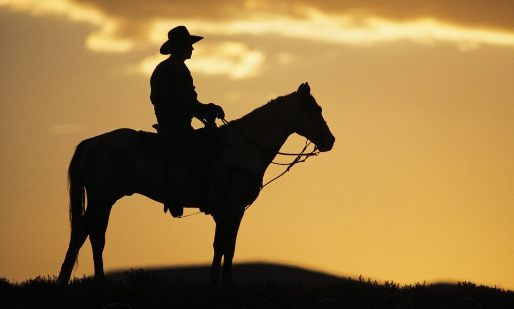 cowboy on horse at sunset